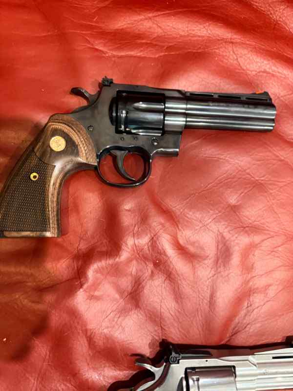 COLT PYTHONS  NAPLES